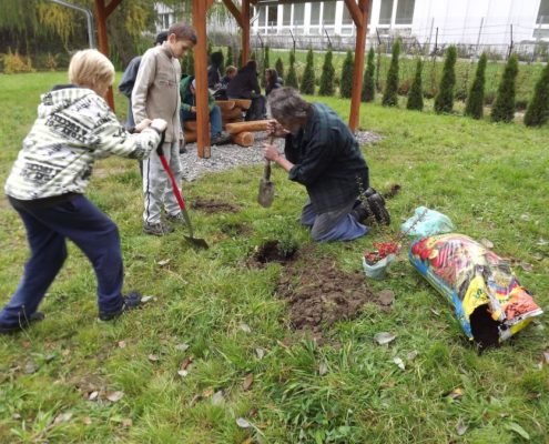 Projekt - přírodní učebna