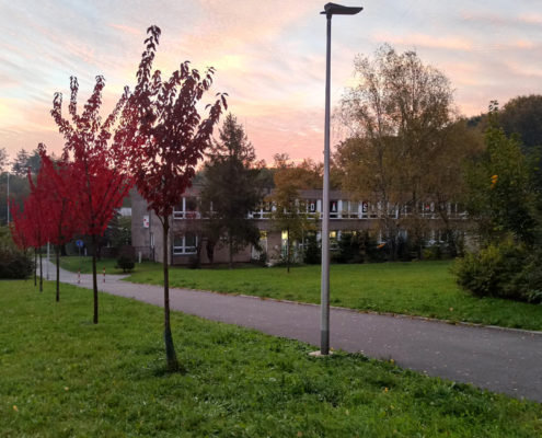 Podzim obarvil stromy před školní budovou