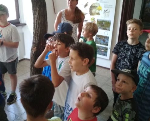 Návštěva záchranné stanice v Bartošovicích