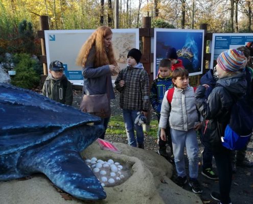 Družinový projekt v ZOO