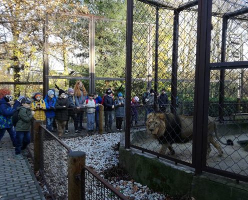 Družinový projekt v ZOO