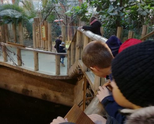 Družinový projekt v ZOO