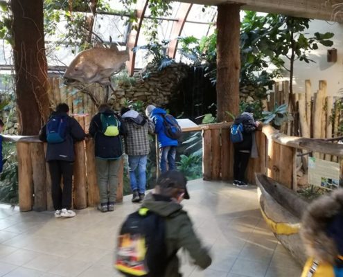 Družinový projekt v ZOO