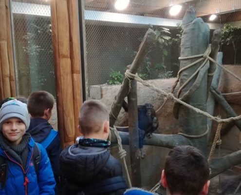 Družinový projekt v ZOO