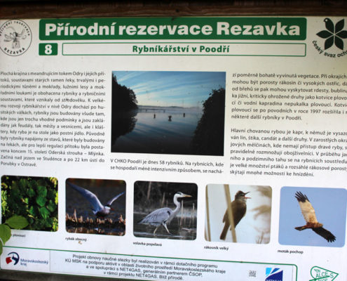 Přírodní rezervace Rezávka