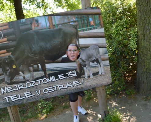 Výlet do Zoo