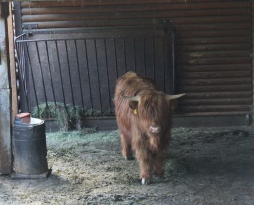 Výlet do Zoo