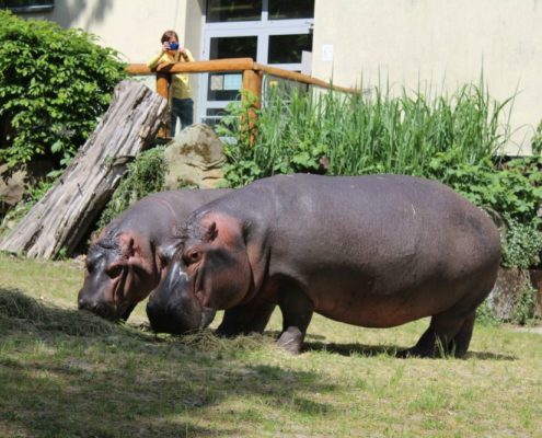 Výlet do Zoo