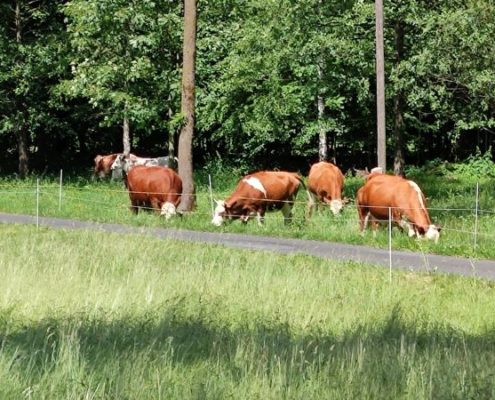 škola v přírodě - den 2