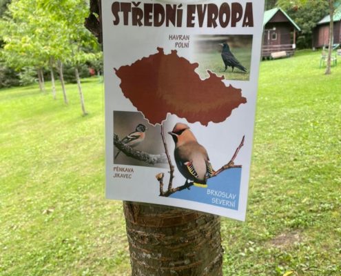 ekologický pobyt Švagrov
