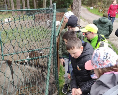 návštěva arboreta v Novém Dvoře