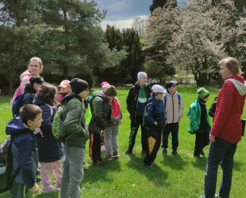 návštěva arboreta v Novém Dvoře