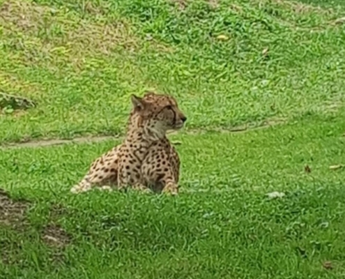 Zoo-Olomouc