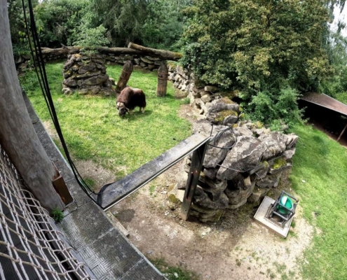 Zoo-Olomouc