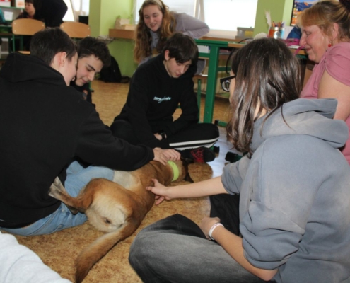 Canis terapie