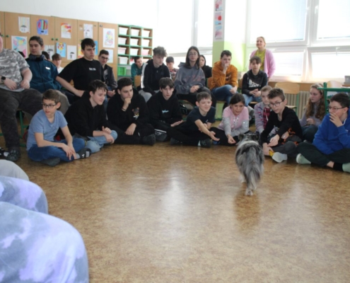 Canis terapie