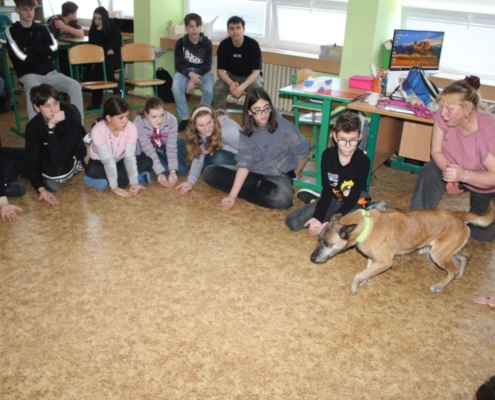 Canis terapie