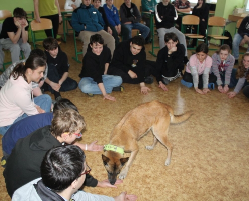 Canis terapie