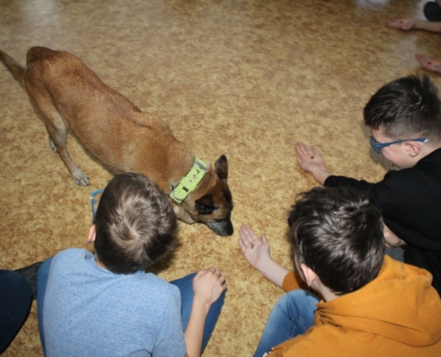 Canis terapie