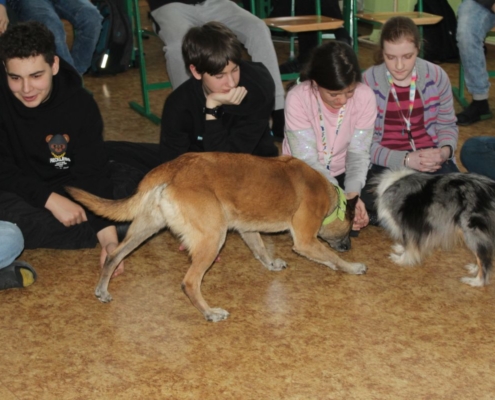 Canis terapie