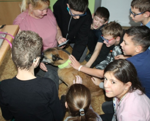 Canis terapie