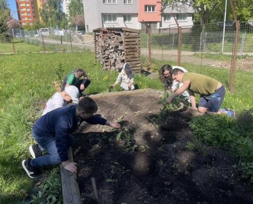 Úprava záhonu po zimě a sázení bylinek.