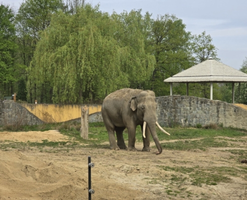 Vydry, hroši, papoušci, to chtěli naši páťáci vidět v ostravské ZOO