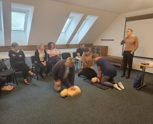 1c0e6533-0c48-44d3-881b-aa99f3e85975 školení první pomoci