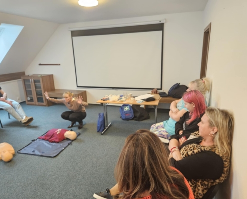 886ce3e9-bf9a-410e-b33f-a4a9cdd58daa školení první pomoci