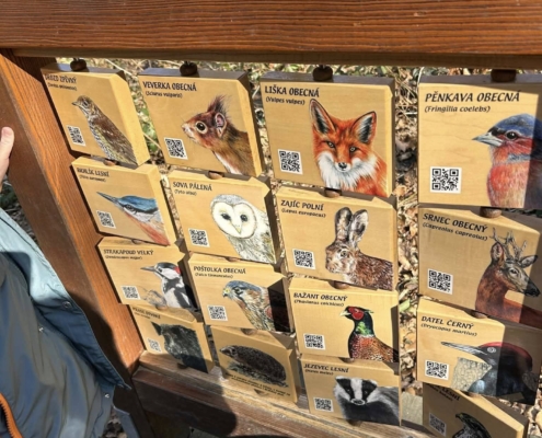 naši prvňáci a druháci proměnili v malé přírodovědce a vyrazili na objevnou výpravu