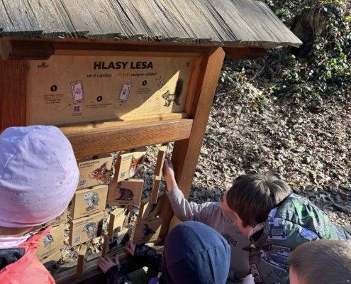 naši prvňáci a druháci proměnili v malé přírodovědce a vyrazili na objevnou výpravu