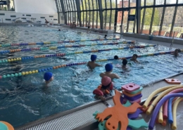 vodní pólo v plavání