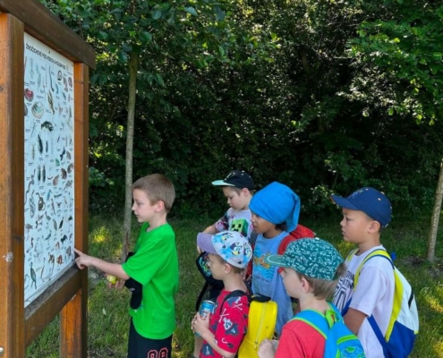 turistický výlet k rybníkům Pod Hurou ve Výškovicích
